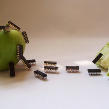 Picture of the Month | APPLE a DAY …